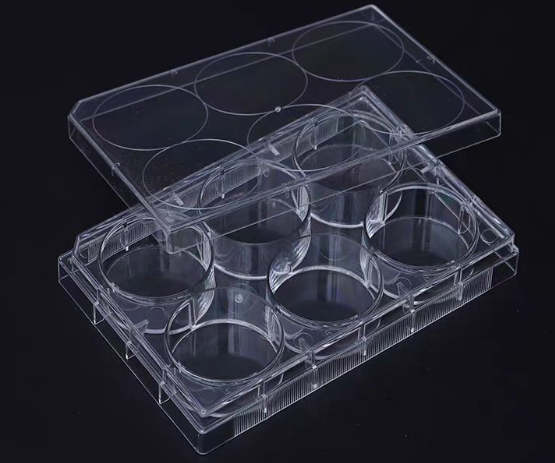 �������ͼ