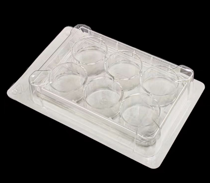 �����ڣ�6�װ����