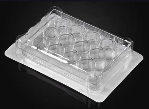 �����ڣ�12�װ����