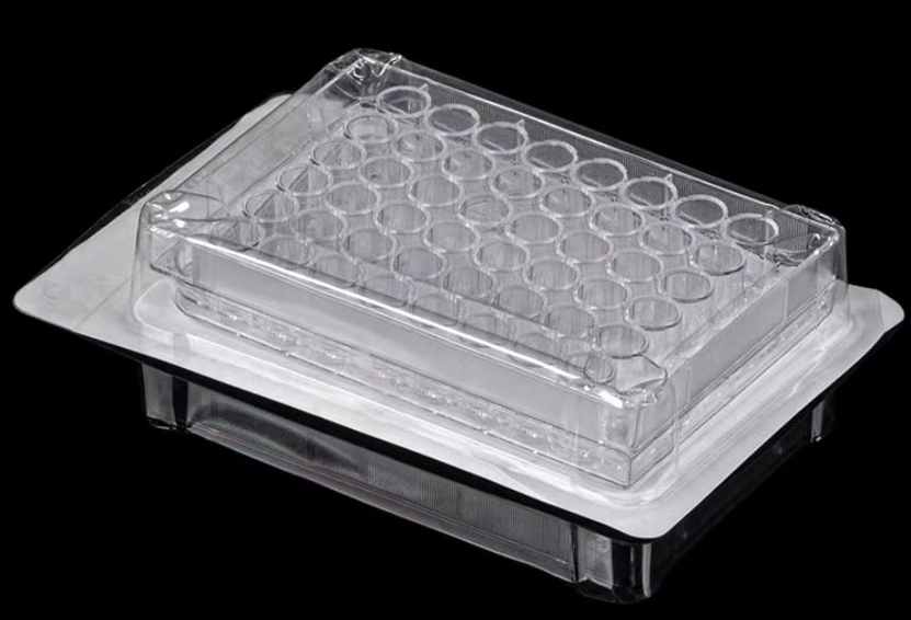 �����ڣ�48�װ����