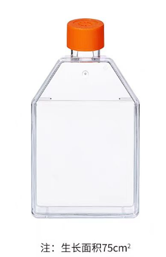 75cm2б��͸����ϸ������ƿ