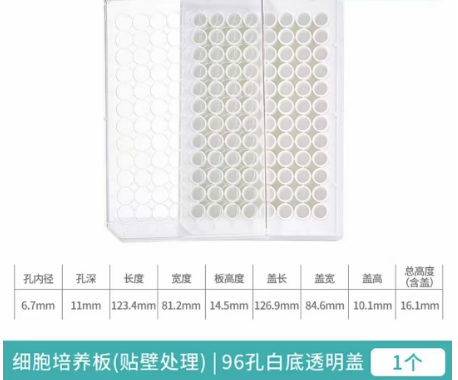 �����ڣ�96�װ�׵�͸����