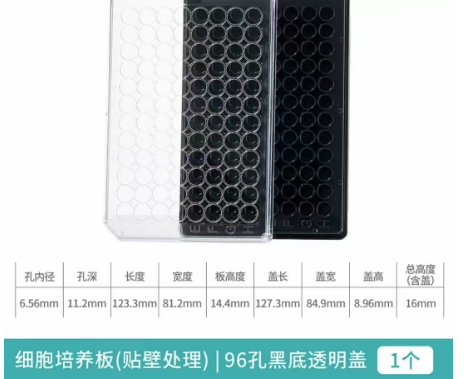 �����ڣ�96�װ�ڵ�͸����