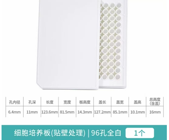 �����ڣ�96�װ�ȫ�״���