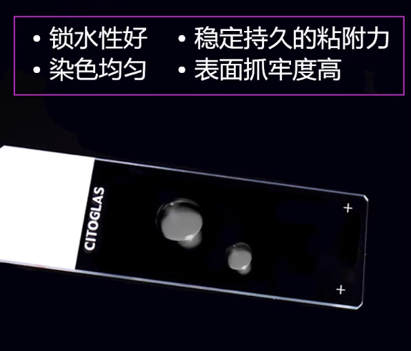 ճ���ز�Ƭ(����ɴ���)