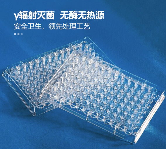 96�װ� TC���� PS